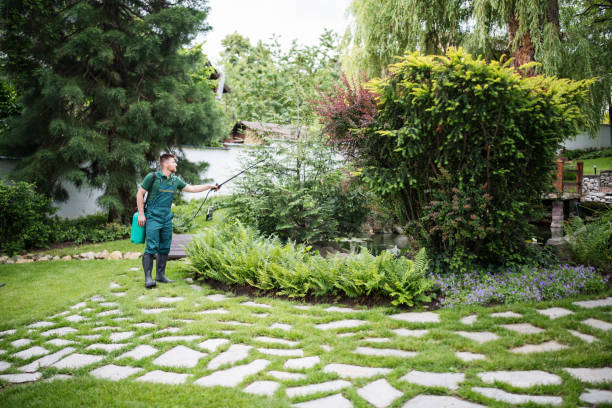 Best Affordable Pest Control Services  in White Oak, TX