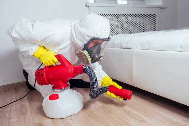 Best Emergency Pest Control  in White Oak, TX