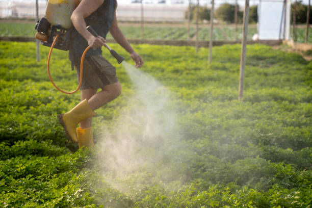 Best Residential Pest Control  in White Oak, TX