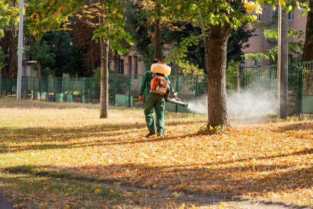 Best Rat Extermination Near Me  in White Oak, TX